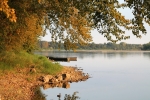 IMG_4260a.jpg