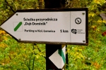ps06_t1.jpg