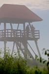 ps07_t1.jpg