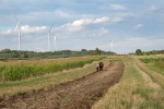 dsc06437_t1.jpg