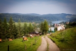 Kliknij, aby zobaczyć. bieszczady_t1.jpg