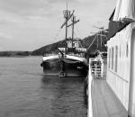 p7165192_t1.jpg