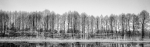 357p5811_2_3_hdr_t1.jpg