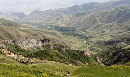 _mg_9425.jpg