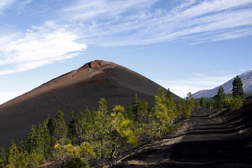 _mg_3257.jpg