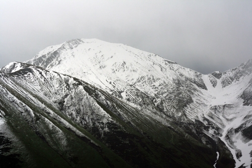 _mg_6428.jpg