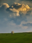Minimalistycznie  Fot. Gosia P