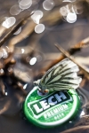 Kliknij, aby zobaczyć. lech_t1.jpg