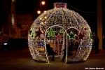 dsc_2942_t1.jpg