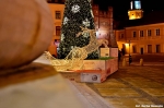 dsc_2969_t1.jpg