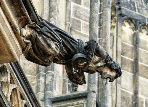 dsc_5386bm.jpg