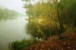 img_0753b_t1.jpg