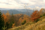 img_8428_t1.jpg