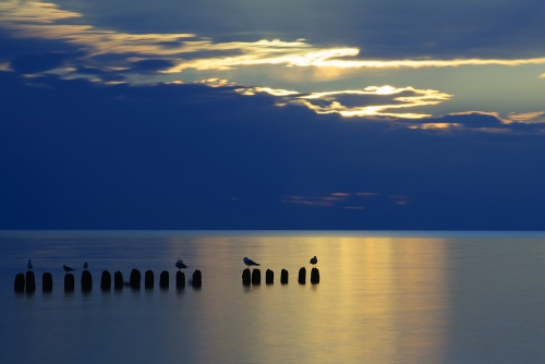 dsc_7218sm.jpg
