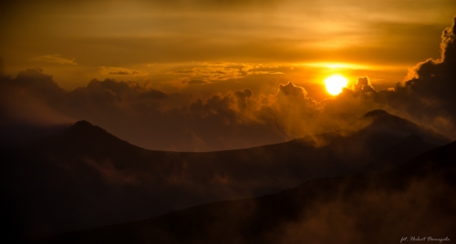 dsc_1908-4.jpg