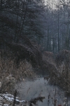 wschod_rzeka_12_2016_6_t1.jpg