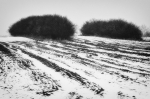 Kliknij, aby zobaczyć. ambwaoly0509_t1.jpg