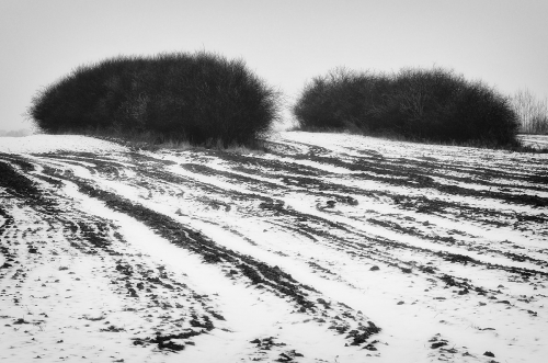 ambwaoly0509.jpg