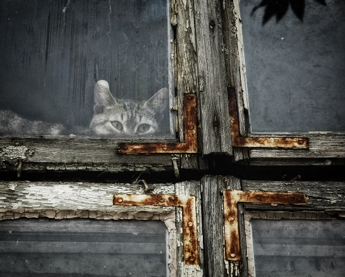 dsc_0511am.jpg