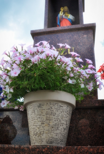 dsc_2002m.jpg