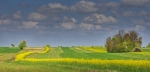 Kliknij, aby zobaczyć. dsc_8382a1hdr_m2_t1.jpg