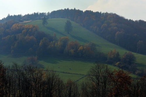 grj_4544.jpg
