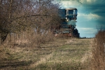 dsc_0015_t1.jpg