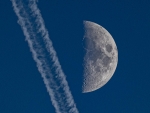 dsc06884m_t1.jpg