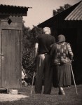 06.jpg