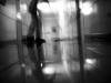 s6304435_t1.jpg