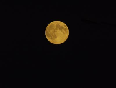 dscf5797.jpg