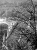 dsc00544_t1.jpg