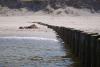 dsc00204_t1.jpg