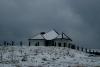 dsc06097-1_t1.jpg