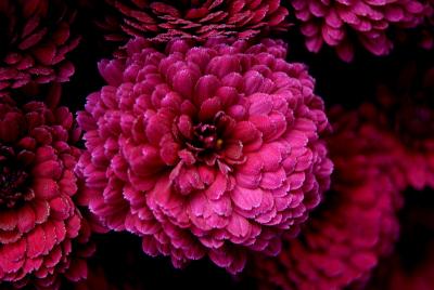 dsc07100.jpg
