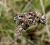 dsc07540_t1.jpg
